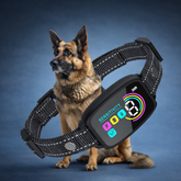 Calmo Quiet Space Dog Collar