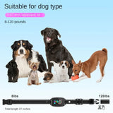 Calmo Quiet Space Dog Collar