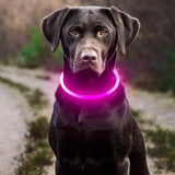 The Ultimate USB Rechargeable Fiber Optic Dog Collar