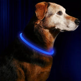 The Ultimate USB Rechargeable Fiber Optic Dog Collar