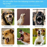 Calmo Quiet Space Dog Collar