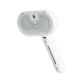 USB Rechargeable Steam Cat Brush with Soft Massage Teeth