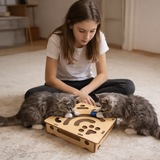 Arlo Indoor Comfort Cat Toy