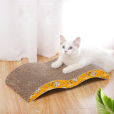 Playful Indoor Comfort Cat Bed