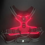 Rechargeable LED Dog Harness with Secure Fit & Comfort