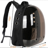 Breathable Transparent Cat Bag for Travel & Outdoor Use