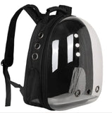Breathable Transparent Cat Bag for Travel & Outdoor Use